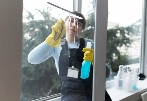 Nettoyage de vitres intérieures et extérieures à Naintré